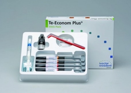 Te-Econom Plus